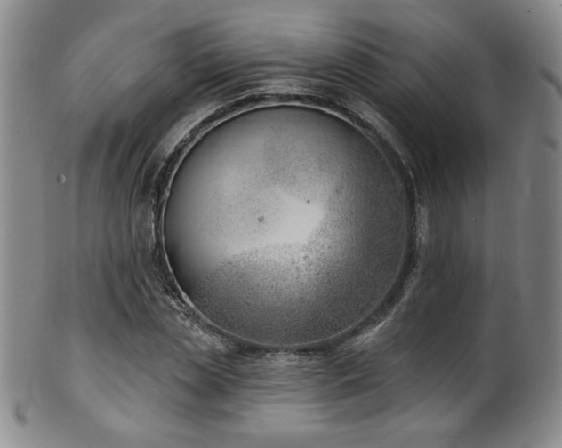 X0000101700829200807101534