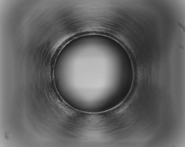 X0000101700830200807101535