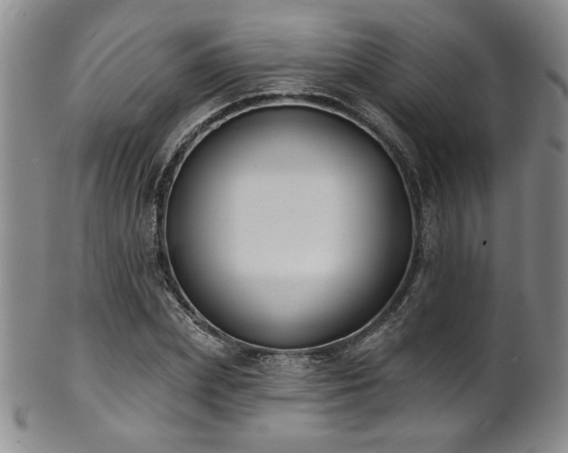X0000101700831200807101535