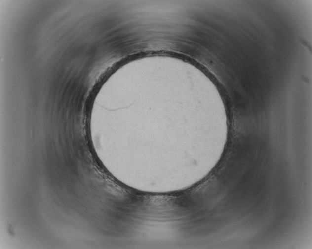 X0000101700832200807101535