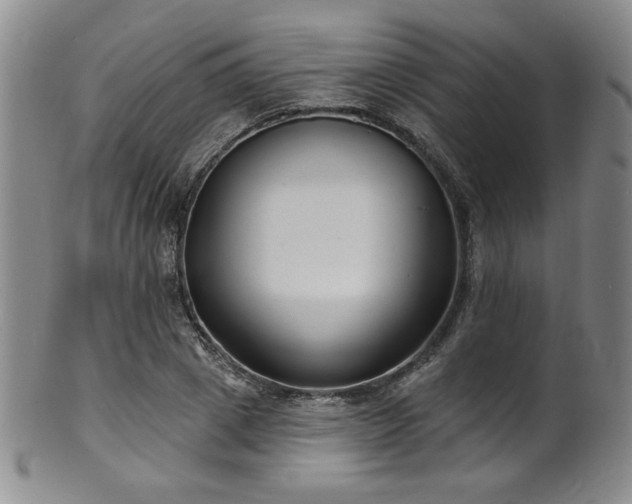 X0000101700833200807101535