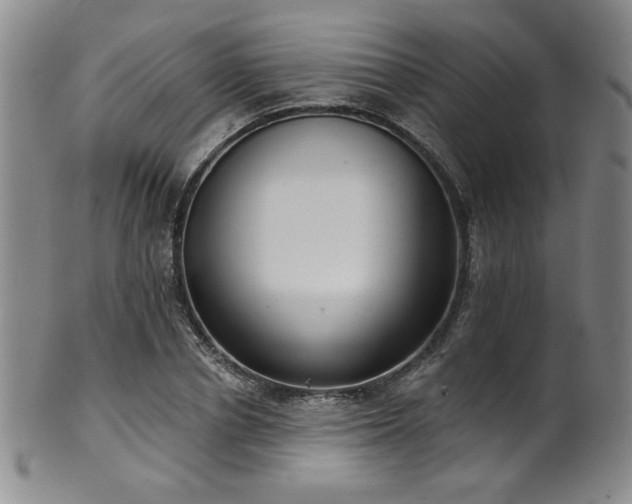 X0000101700834200807101535