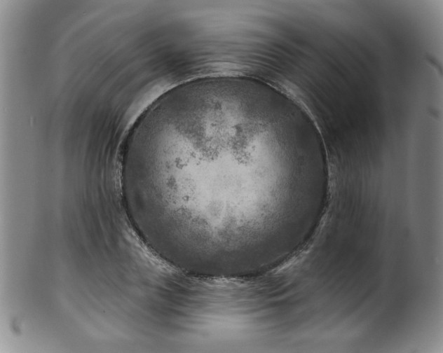 X0000101700835200807101535