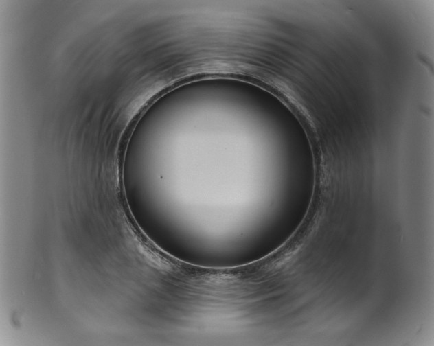 X0000101700837200807101535