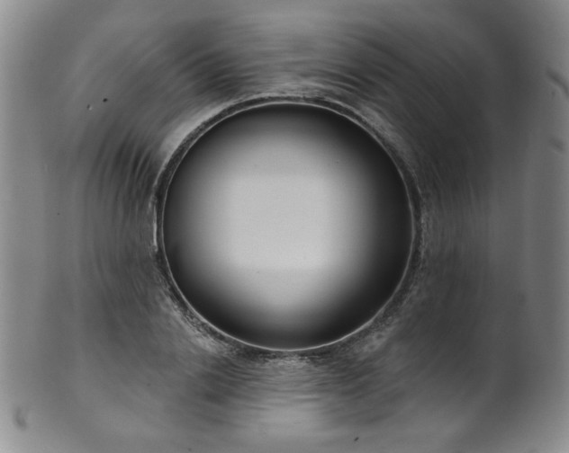 X0000101700838200807101535
