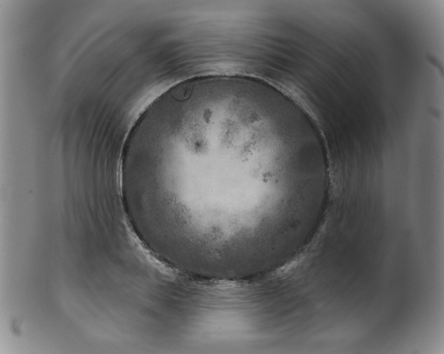 X0000101700839200807101535