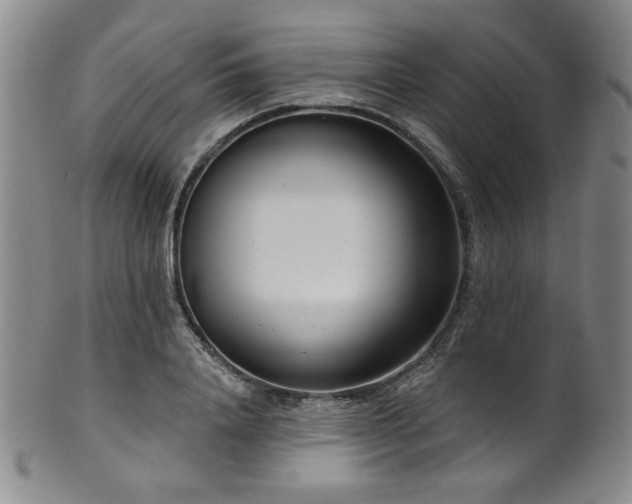 X0000101700840200807101535
