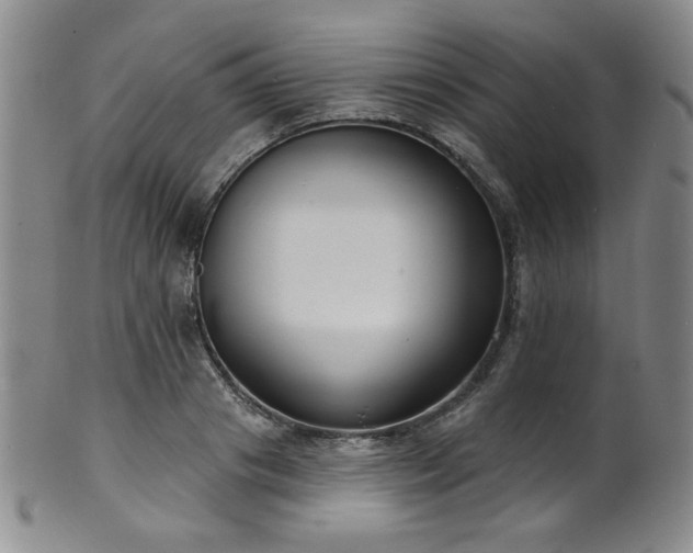 X0000101700841200807101535