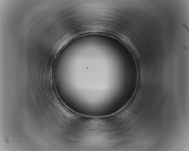 X0000101700842200807101535