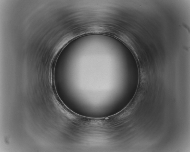 X0000101700843200807101535