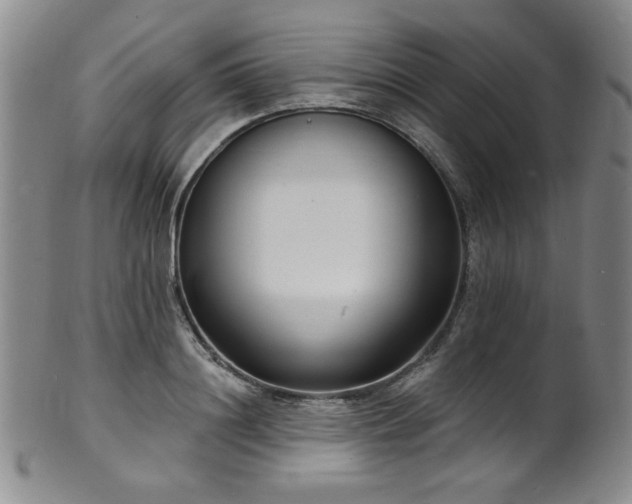 X0000101700844200807101535