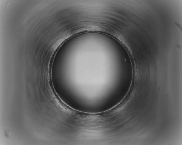 X0000101700845200807101535