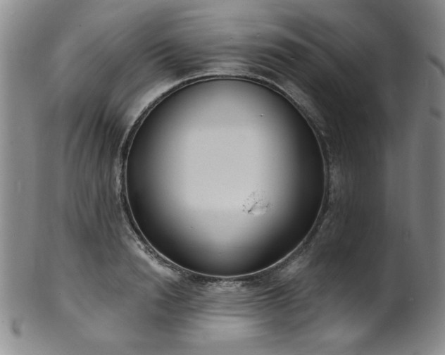 X0000101700846200807101535