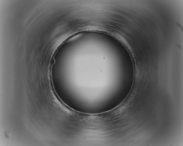 X0000101700847200807101535