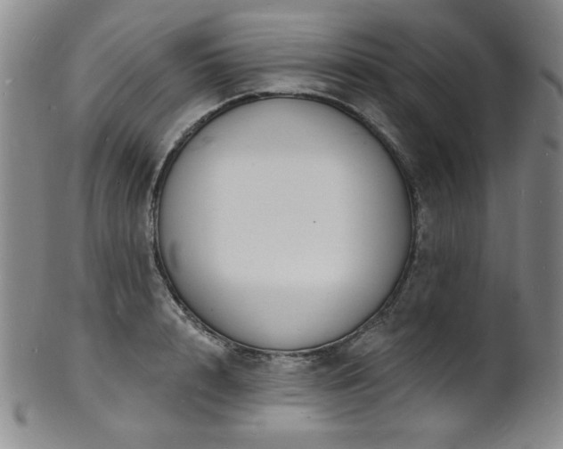 X0000101700848200807101535