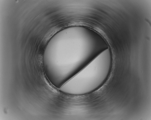 X0000101700849200807101535