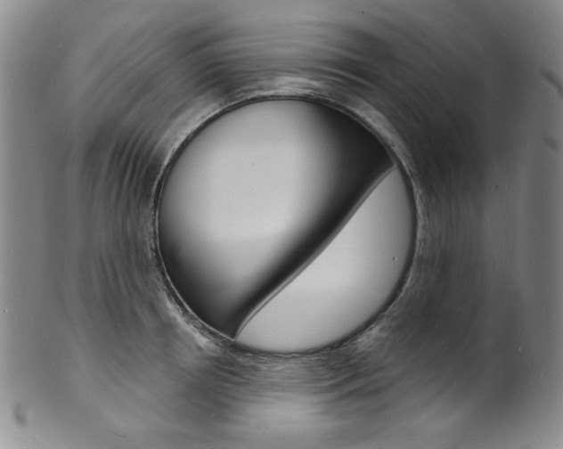 X0000101700850200807101535