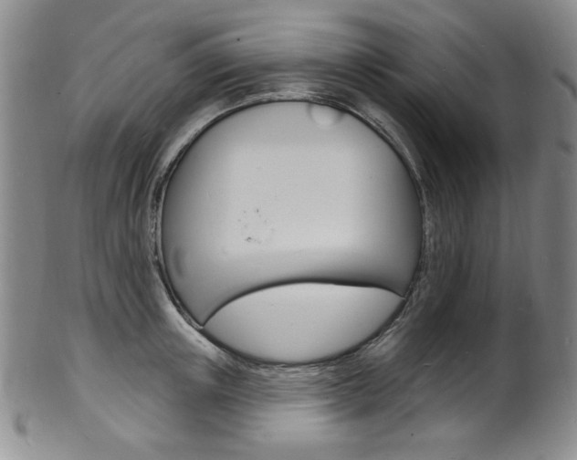 X0000101700851200807101535
