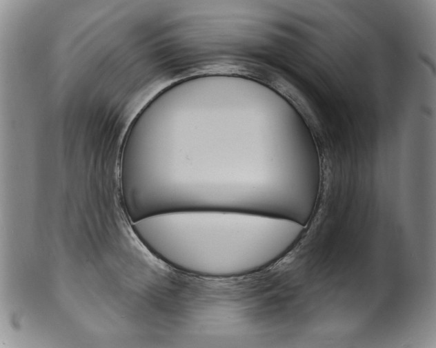 X0000101700852200807101535