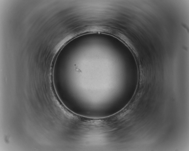 X0000101700853200807101535