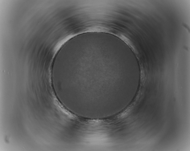 X0000101700854200807101535