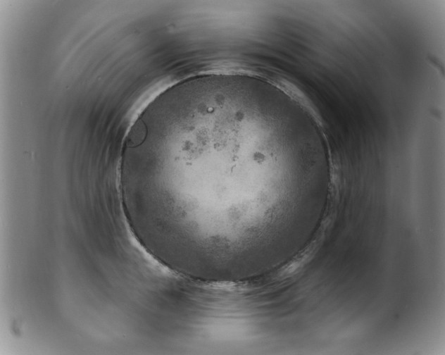 X0000101700855200807101535