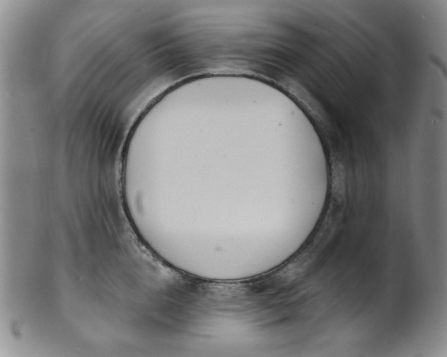 X0000101700856200807101535