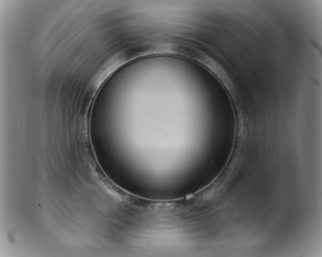 X0000101700858200807101535