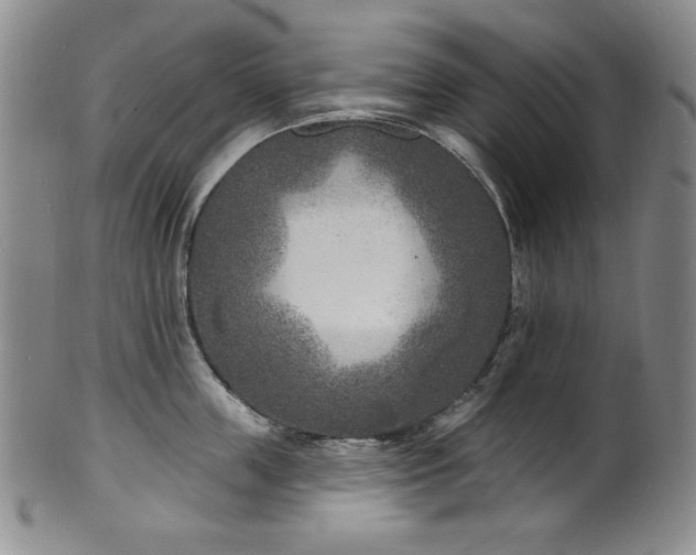 X0000101700859200807101535