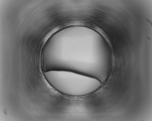 X0000101700861200807101535