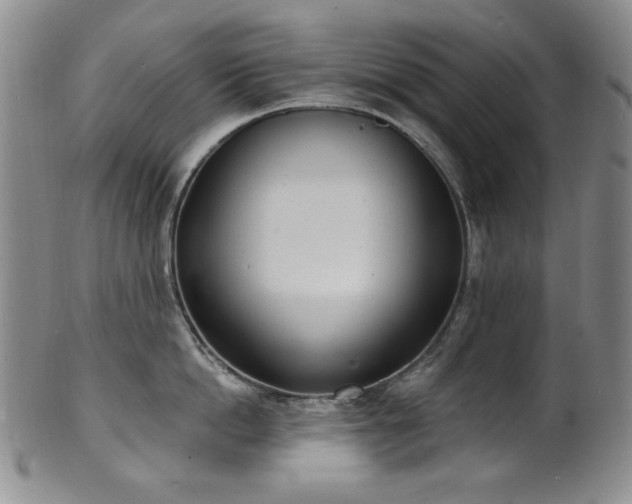 X0000101700862200807101535