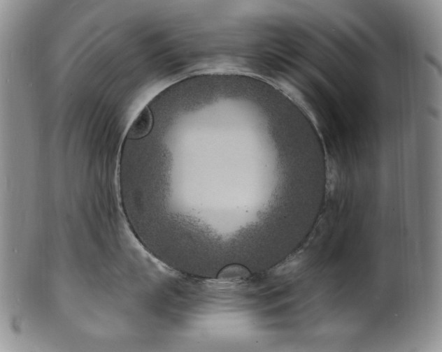 X0000101700863200807101535