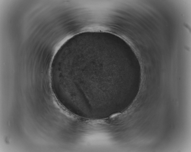 X0000101700864200807101535