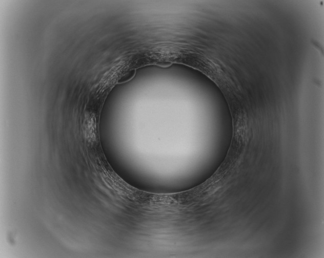 X0000101700866200807101534