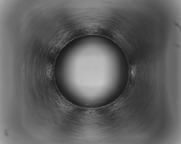 X0000101700867200807101534