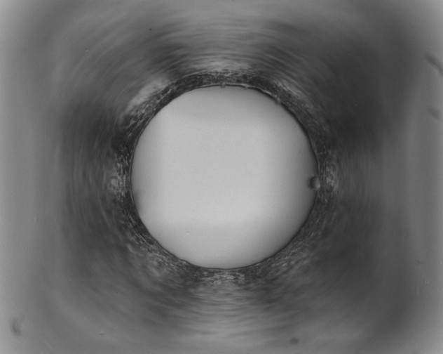 X0000101700869200807101534