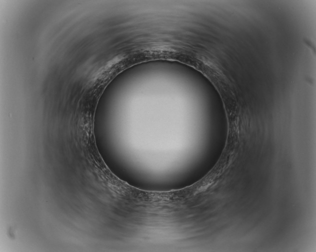 X0000101700870200807101534