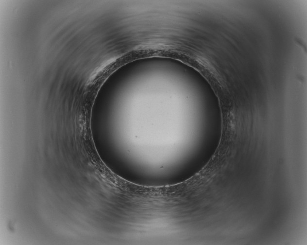 X0000101700872200807101534