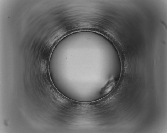 X0000101700873200807101534