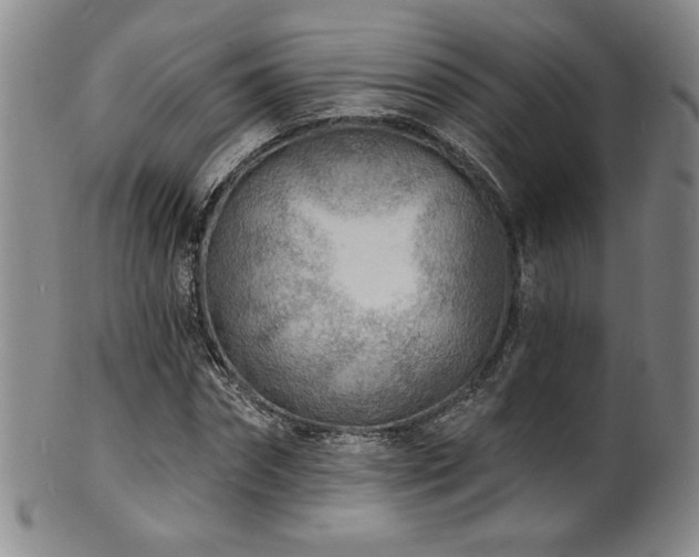 X0000101700874200807101534