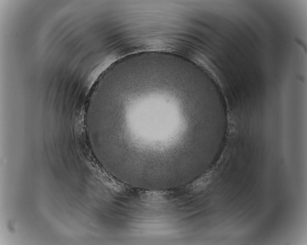 X0000101700875200807101534