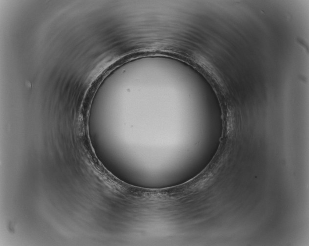 X0000101700876200807101534