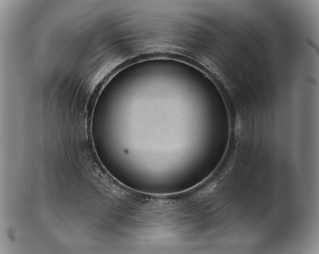 X0000101700877200807101534