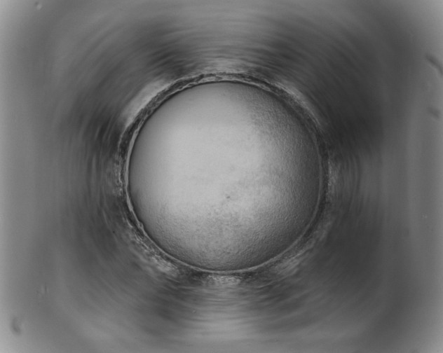 X0000101700878200807101534