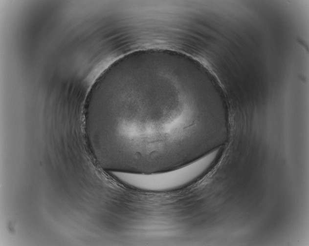 X0000101700879200807101534