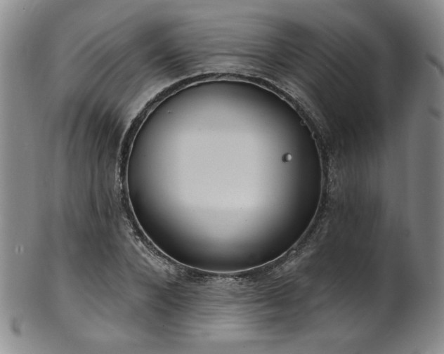 X0000101700880200807101534