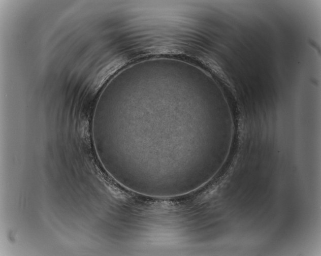 X0000101700881200807101534