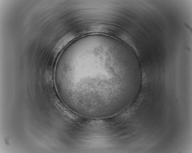 X0000101700882200807101534