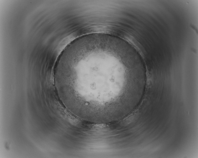 X0000101700883200807101534