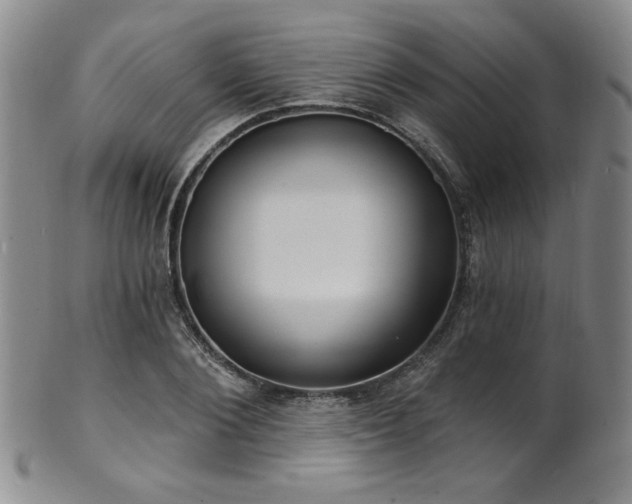 X0000101700884200807101534